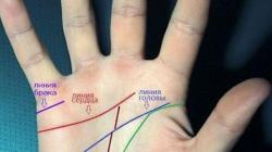 Marriage line on the hand of a man and a woman with decoding