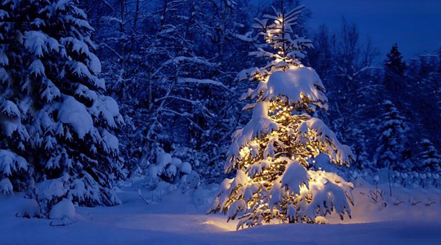 Folk signs, superstitions and customs for Christmas