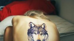 Значение татуировки волк для девушки Надпись волк на руке